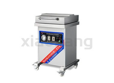 DZ-400/2L真空包裝機