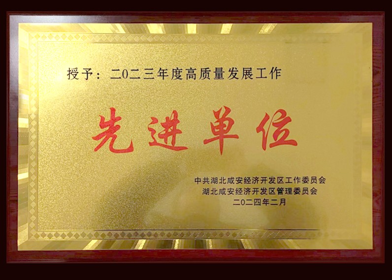 二0二三年度高質(zhì)量發(fā)展工作先進(jìn)單位