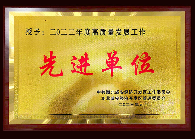 二0二二年度高質(zhì)量發(fā)展工作先進單位